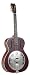 Johnson Bottle Slide Triolian Resonator