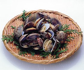 あさり殻付きL　500g（40?50粒）