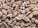 Praline Pecans (Economy Packaged) Nt. Wt. 2 lbs.
