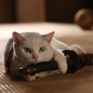 猫侍「玉之丞」写真集