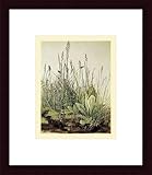 Tall Grass, Framed Art Print by Albrecht Durer