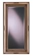 Bevelled Leaning Mirror With A Large Antique Gold Frame By Coaster Furniture