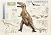 Tyrannosaurus Rex Poster (#28)