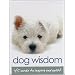 Dog Wisdom