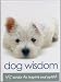 Dog Wisdom Cards by Tanya Graham