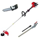 Efco DS 2800S 27 cc Petrol Brush Cutter with EH48 Hedge Trimmer Attachment and EP1000 Pruner Attachment