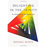 delighting in the trinity an introduction to the christian faith