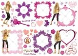 Kitchen & Housewares : Hannah Montana Stickarounds or stickers