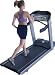 Landice L8 LTD Executive Trainer
