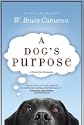 A Dogs