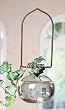 Vine Starter Hanging Glass Vase