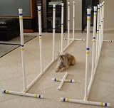Indoor/Outdoor Dog Agility Weave Poles – Set of 12