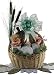 Hi Kitty Gift Basket for Cats : Basket Theme HANUKKAH