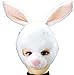 Forum Novelties Animal Soundz Bunny Rabbit Half Mask