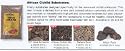 Specialty Freshwater African Cichlid Mix Rift Lake Authentic 50 lb