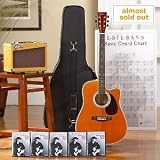 Acoustic-Electric Guitars