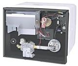 G10-2 10 gal. LP Water Heater