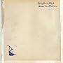 Down in Albion ~ Babyshambles