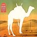 Arabesque Zoudge Vol. 2