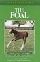 Understanding the Foal (The Horse Health Care Library Series)