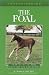 Book Understanding the Foal (The Horse Health Care Library Series)