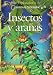 Insectos y aranas/ Insects and Spiders