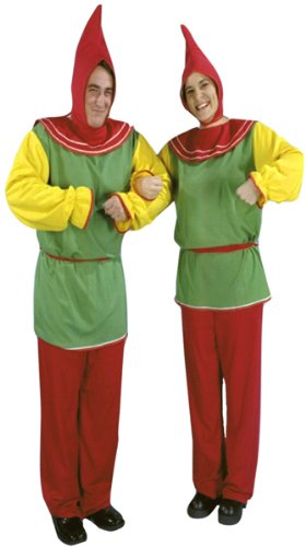 Adult Gnome Wizard Costume (Size: Medium 40-42)  