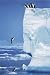 Steve Bloom Penguins Poster