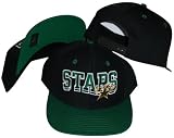 Dallas Stars Wave Black/Green Plastic Snapback Adjustable Plastic Snap Back Hat / Cap