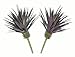 Neuhaus Decor 2 x 7.5 Agave Cacti, Artificial Plants