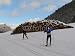 Wallmonkeys Peel and Stick Wall Decals - Cross-country Ski Run - Removable Graphic