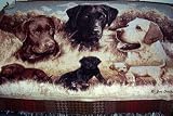 53 x 65 Lab Dogs Throw By Fine Art