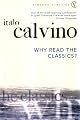 Why Read the Classics? (Vintage)
