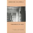 Trouble in July (Brown Thrasher Books)