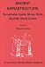 Book Ancient Infrastructure: Remarkable Roads, Mines, Walls, Mounds, Stone Circles