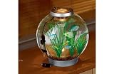 Review biOrb  / biOrb 30 litre Tropical Aquarium.