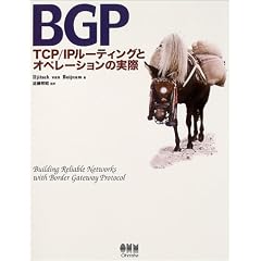 BGP�\TCP/IP���[�e�B���O�ƃI�y���[�V�����̎���