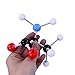 Wisehands Organic Chemistry Molecular Model, Student and Teacher Set (50 Atom Parts) with Grey Box