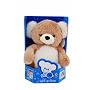 Glo E Magical Light Up Honey Bear