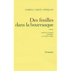 Des feuilles dans la bourrasque