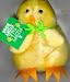 Books : A Little Chick (Fluffy Tale Books)