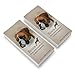 Boxer Dog Breed Eraser Set of 2