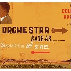 Specialist in All Styles by  Orchestra Baobab 