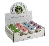 Flower Growing Kit (Pick A Flower=White Clover)