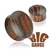 Solid Organic Sono Wood Saddle Plugs 3/4 (19mm) - Sold as a Pair - (Sizes from: 6mm up to 50mm)