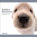 Golden Retriever 2009 Calendar