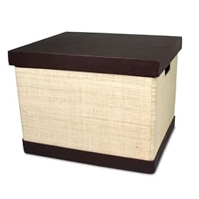 <b>Collapsible File Box by Neatnix - Natural Rafia</b>
