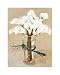 Antirinium Bouquet Art Poster PRINT Joyce Galley 8x10
