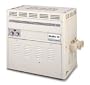 Pentair Minimax CH 350,000 BTU Propane Pool Heaters - Millivolt Ignition