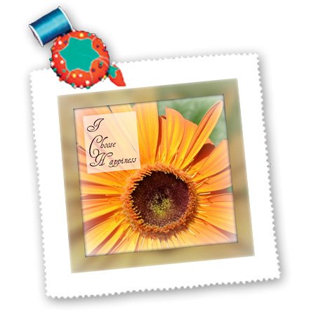 qs_32662_4 Patricia Sanders Flowers – Framed I Choose Happiness Flower Inspirational Quotes – Quilt Squares – 12×12 inch quilt square